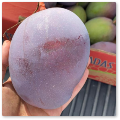 manga-tommy-frutal manga-tommy-frutal